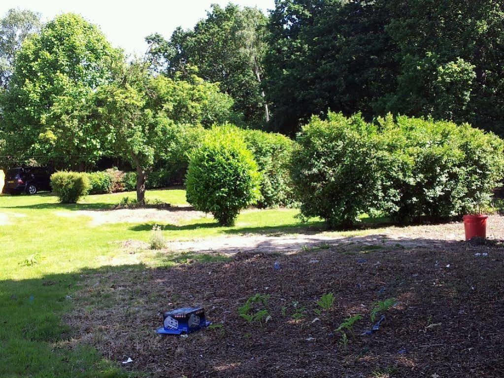 Ruxley Rooms Sidcup Buitenkant foto